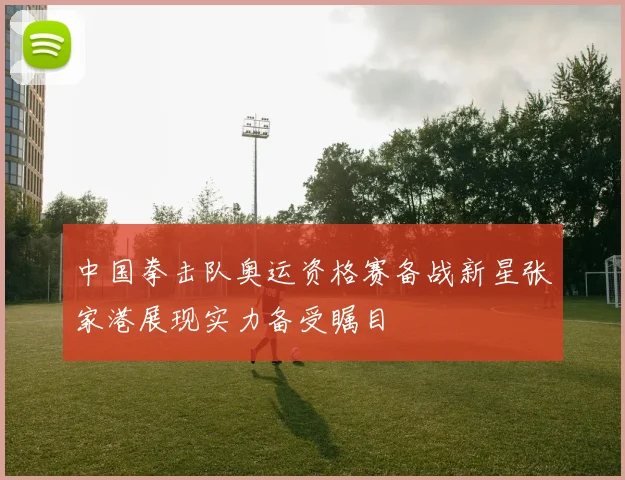 中国拳击队奥运资格赛备战新星张家港展现实力备受瞩目